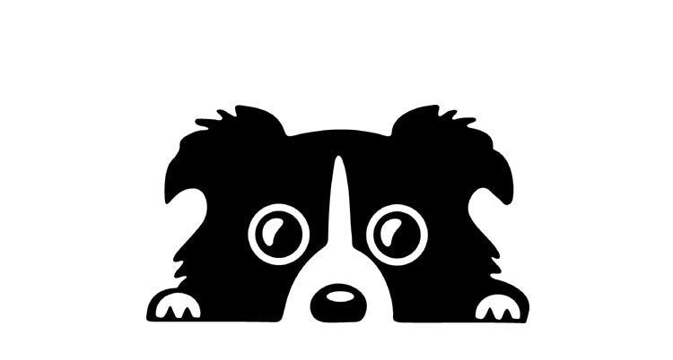 Funny Border Collie Dog  Stickers
