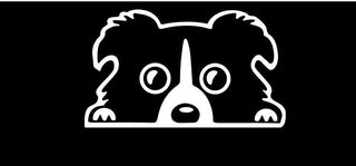 Funny Border Collie Dog  Stickers