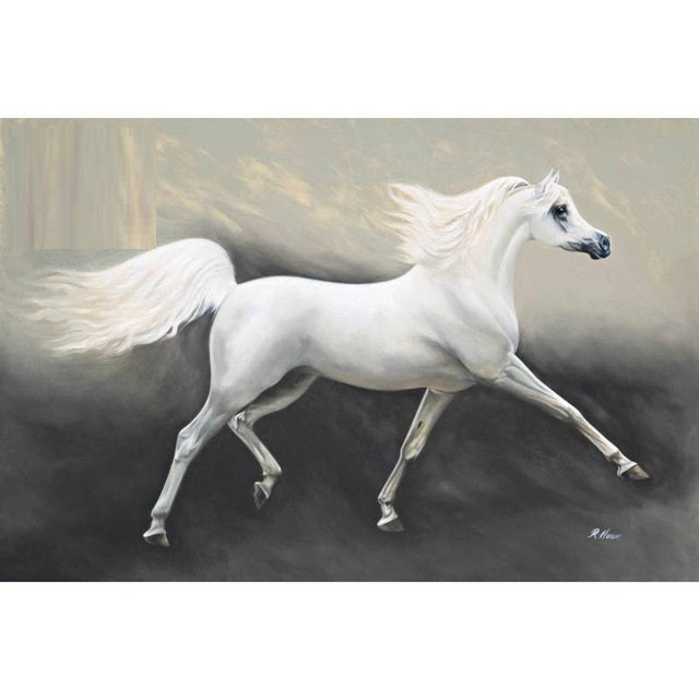 Beautiful White Horse Wall Stickers