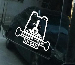 "Border Collie In Car" Dog Stickers