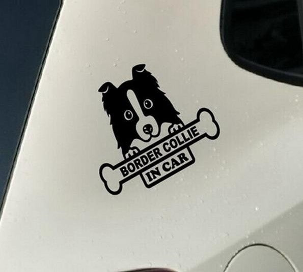 "Border Collie In Car" Dog Stickers