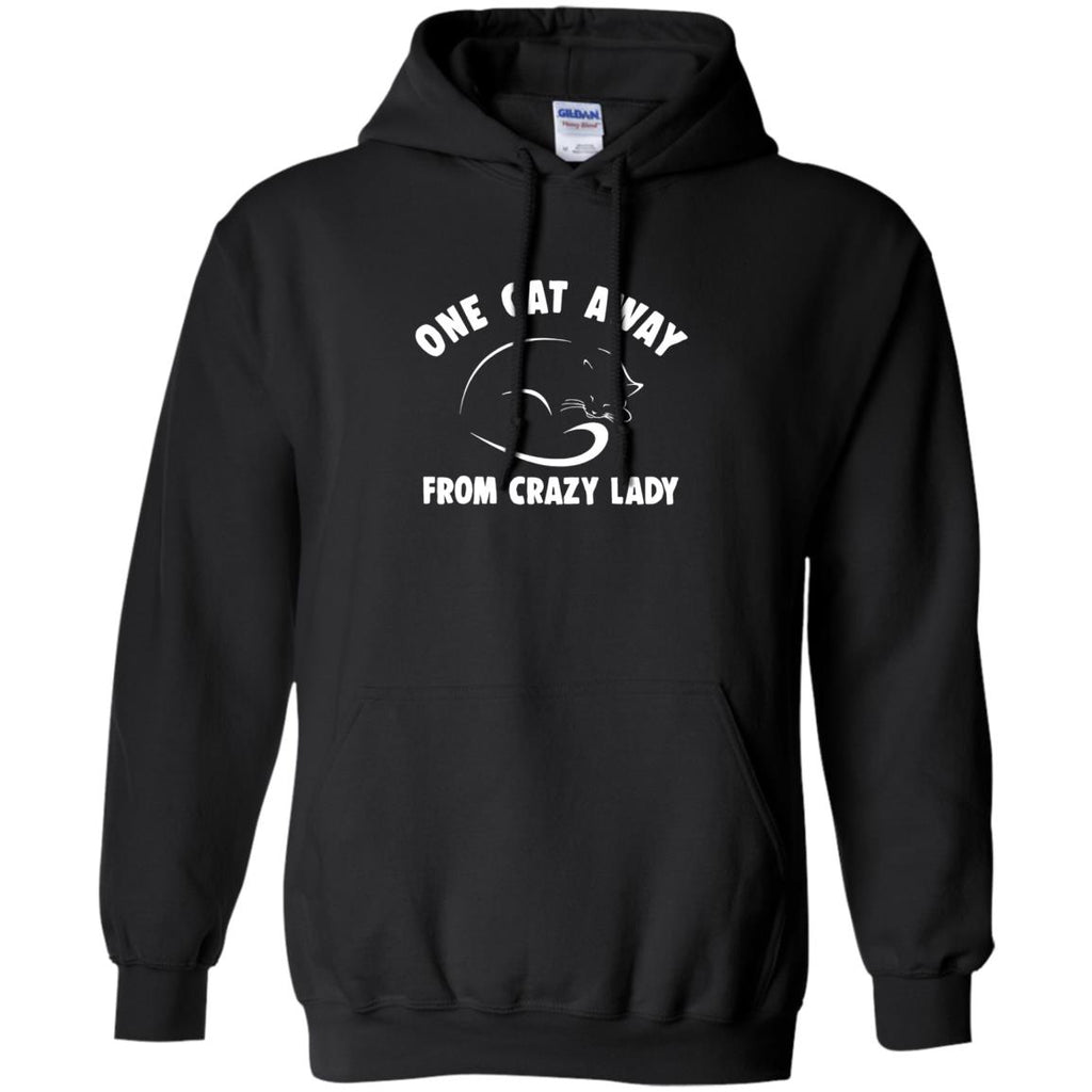 One Cat Away From Crazy Lady Cat Tshirt For Kitten Lover