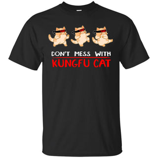 Don't Mess With Kungfu Cat Tshirt