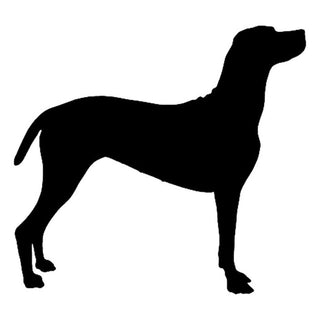 Hungarian Vizsla Dog Stickers