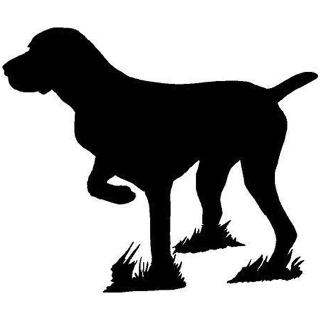 Pointer Dog Hunt German Short Hair Stickers