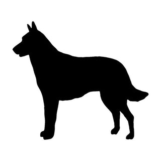 Lovely Belgian Malinois Dog Stickers