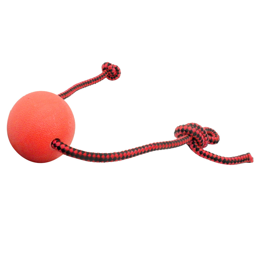 Red Rubber Dog Ball Interactive Toys